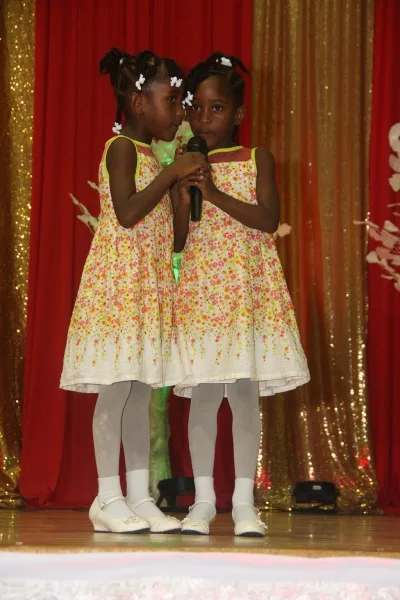 Photograph 82 from 2016 November Charity Dinner & Concert