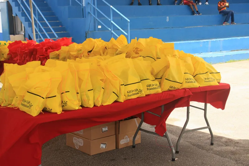 Photograph 3 from GIFT FOR LIFE ANNUAL SPORTS & FAMILY DAY