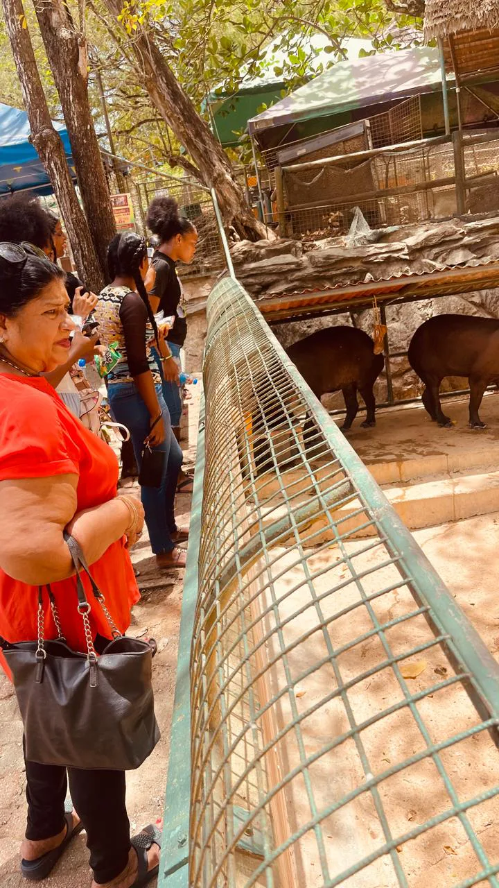 Photograph 16 from Gift for Life Foundation hosts Annual Day Mother’s Day Event at Emperor Valley Zoo
