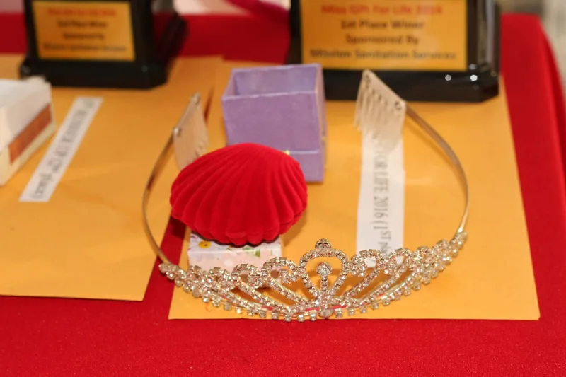 Photograph 2 from Empowering Girls For Miss Gift For Life Pageant 2016