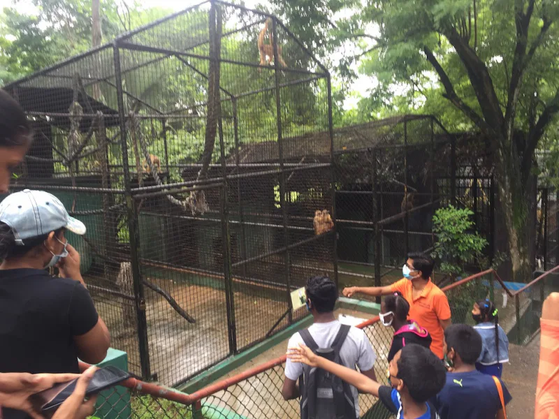 Photograph 31 from Gift For Life Makes Visits to the National Emperor Valley Zoo