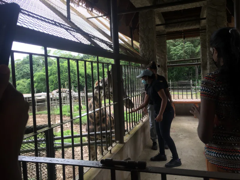 Photograph 51 from Gift For Life Makes Visits to the National Emperor Valley Zoo
