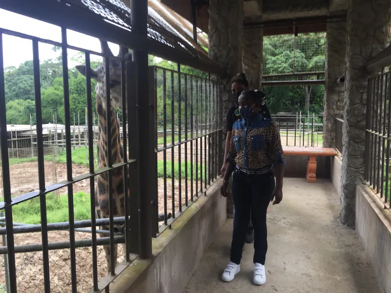 Photograph 52 from Gift For Life Makes Visits to the National Emperor Valley Zoo