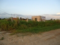 DSC02762