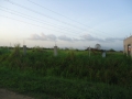 DSC02771