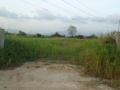 DSC02775