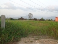DSC02780