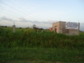 DSC02781