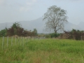 DSC02790