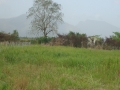 DSC02793