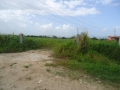 DSC02799