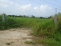 DSC02800