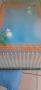 5954a063-de74-44f4-b237-77a1947b578b