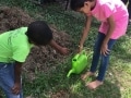 Children-caring-for-their-Moring-Plant