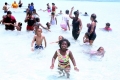 Tobago-2013b8