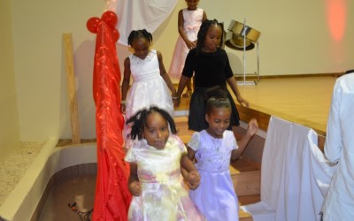 Dinner and Charity Show 2013